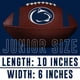 thumbnail image 2 of Fútbol americano Franklin Sports Penn State Nittany Lions para niños, 2 of 9