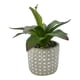 thumbnail image 4 of Planta agave artificial, 4 of 4