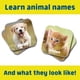 thumbnail image 3 of Juego Memoria Chuckle Roar Animales Bebas 52 Cartas, 3 of 3