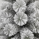 thumbnail image 4 of Arbol Navidad Nevado Artificial Frondoso 240cm Base Metal, 4 of 5