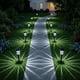 thumbnail image 1 of Luces de camino LIANGLOME paquete de 12 solares impermeables, 1 of 7