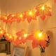 thumbnail image 1 of 1pc, Festive Red Maple Leaf String Lights for Home Decor, Party, and Holiday Celebrations, 1 of 4