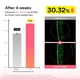 thumbnail image 4 of Crema Hidratante Intensiva Abib PDRN 75 ml, 4 of 8