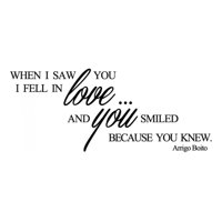 Rienda Libre Graphics - Decomural When I Saw You Love Ws-34058