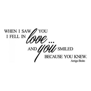 Rienda Libre Graphics - Decomural When I Saw You Love Ws-34058