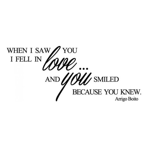 Rienda Libre Graphics - Decomural When I Saw You Love Ws-34058