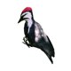 thumbnail image 2 of Regalo Artificial Del Pájaro Del Pájaro Carpintero De La Simulación Para El Patio Al Aire Libre Decorativo, 2 of 5