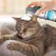 thumbnail image 4 of Champú En Seco Para Gatos Sin Enjuague 118 Ml, 4 of 8