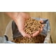 thumbnail image 5 of Pellets de madera Camp Chef sabor roble, 100% naturales, bolsa de 9 kg, 5 of 5