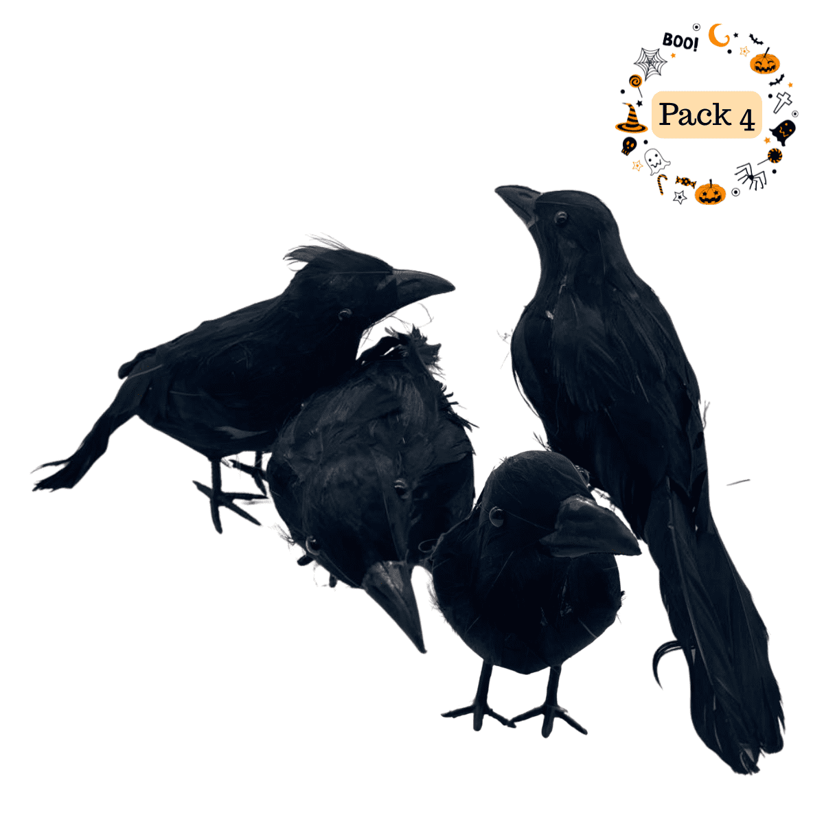 Genérico - Pack 4 Cuervos Realista Emplumado Negro Halloween 2025