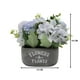 thumbnail image 5 of Planta Artificial Macetero De Cemento Flowers And Plants celeste, 5 of 8