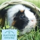 thumbnail image 3 of Animal Tunnel Oxbow Timothy Club para conejillos de indias y conejos, 3 of 7