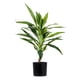 thumbnail image 1 of Planta Artificial Dracaena 40 Hojas 60 Cm, 1 of 2