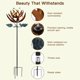 thumbnail image 5 of Molinillo de Viento Pure Echo 213 cm Grande Flor de Loto de Metal, 5 of 7