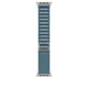 thumbnail image 1 of Correa Alpine Loop Azul Claro De 49 Mm Talla Pequeña, 1 of 3