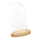 thumbnail image 2 of Cúpula De Cristal Transparente Cloche Casa De Muñecas Decoración Ornamento DIY Cúpula Transparente Cloche 12cmx16cmx14cm, 2 of 5