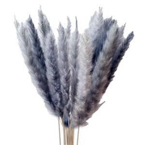 Bothyi - 15X Boda De Caña De Fragmitas De Hierba De Pampa Seca Artificial