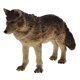 thumbnail image 2 of Figuras De Acción De Estatuilla Modelo Animal Realista Juguete Educativo Lobo Verde, 2 of 3