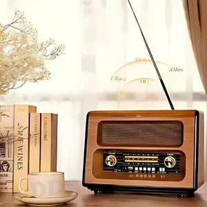 Radio Fm Retro Daggerpillar 2066 Analógico 220V Portátil Recargable