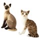 thumbnail image 3 of 2 Uds Gatos De Simulación Animal Relleno De Felpa Juguete De Peluche Regalo De Cumplea?os Sentado, 3 of 5