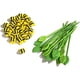 thumbnail image 2 of Juego de Mesa Game Zone Honey Bee Tree 24 Jugadores, 2 of 3