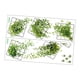 thumbnail image 3 of 2x 3D Plantas Vívidas Rejilla Calcomanía De Pared PVC Para Decoración De Pared Sala De Estar Estilo B, 3 of 5