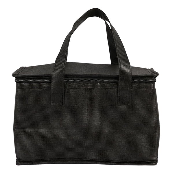 Contenedor De Almacenamiento Para Picnic, Contenedor De Almuerzo Aislado Para Viajar, Mujeres, Hombres, Grande