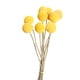 thumbnail image 1 of 10 Uds. De Flores Secas, Regalo, Decoración Bohemia Para Decoración De Oficina, Decoraciones De Otoño Para El Hogar, 1,5 A 2,5 Cm, 1 of 2