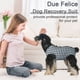 thumbnail image 2 of Traje quirúrgico para perro Due Felice, cuadro negro, talla mediana, 2 of 5
