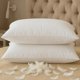 thumbnail image 1 of Juego de 2 plumas de plumón Pillow BHZ Standard/Queen White, 1 of 9