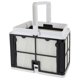 thumbnail image 1 of Cesta de filtro para aspiradora de piscina Ulticor Ultra Fine compatible con Dolphin, 1 of 5