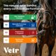 thumbnail image 2 of VetrChill Gel calmante para caballos - suplemento oral sabor manzana con L-teanina y melatonina - favorece la relajación y la concentración - tubo individual - formulado por veterinarios en EE. UU., 2 of 9