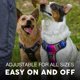 thumbnail image 4 of Arnés anti tirón Embark Pets con chaleco reflectante para perro, 4 of 8