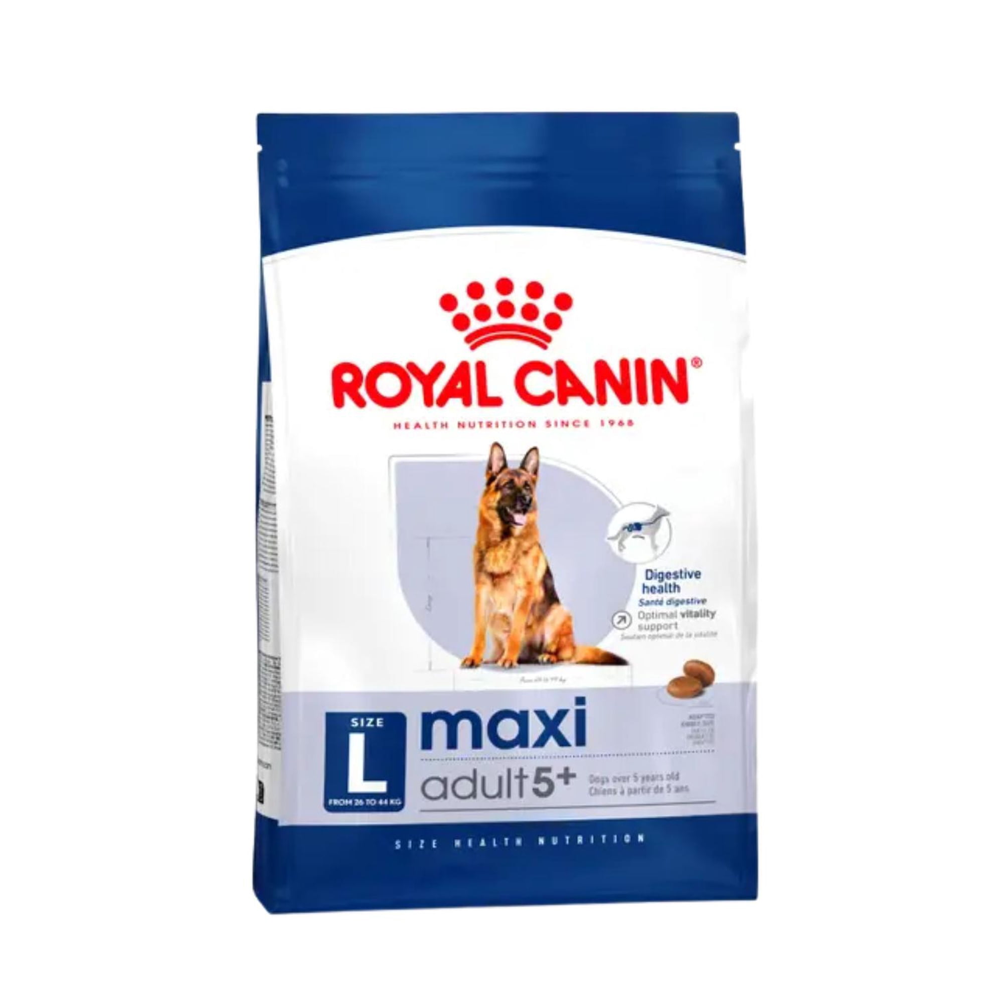 Royal Canin Maxi Ageing 5+ Adulto 12 kg | Perros Grandes