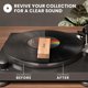 thumbnail image 3 of Kit de Limpieza para Discos de Vinilo EVEO 4 en 1, 3 of 3
