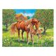 thumbnail image 2 of Puzzle XXL Caballos en el campo - 100 piezas, 2 of 2
