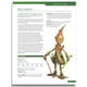 thumbnail image 4 of Reserva el Creature Codex de Kobold Press, 4 of 7