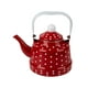 thumbnail image 5 of Tetera Esmaltada Para Top 1.1L Multiusos Para Restaurant Office Pot Red, 5 of 5