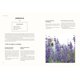 thumbnail image 3 of Floramama: De jardín a ramo, cultivando flores para el mercado – New Society Publishers, 3 of 9