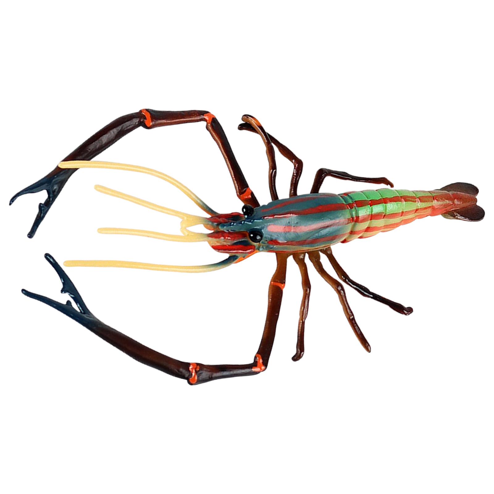 Bothyi - Accesorios De Modelo De Langosta Coleccionables Para Diseños De Escenas De Guardería Proyectos De Bricolaje