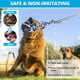 thumbnail image 2 of Spring Pole Rope Toy TT TRSMIMA para perros Pitbull de tamaño mediano a grande, 2 of 7