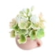 thumbnail image 2 of Planta En Maceta En Miniatura, 1/12, Dormitorio, Modelo De Flor Artificial, Suministros De Paisaje, 2 of 5