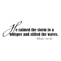 Rienda Libre Graphics - Decomural He Calmed The Storm Bible Verse Ws-15145