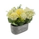 thumbnail image 2 of Planta Artificial Macetero De Cemento Flowers And Plants beige, 2 of 8