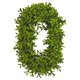thumbnail image 4 of Decoración de pared artificial Nearly Natural LOVE de boj, 4 of 9