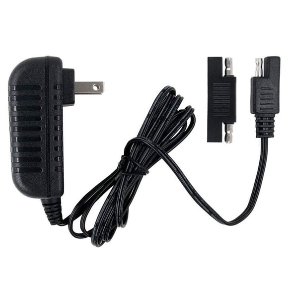 Cargador de repuesto de 6 V para Disney Quad Pacific Cycle