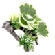 thumbnail image 4 of Decoraciones De Plantas De árboles De Acuario, Decoraciones De Plantas Pequeñas Para Decoración De Peceras, Estilo D, 4 of 5