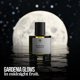 thumbnail image 4 of Perfume Eternal Midnight Truffle Eau De Parfum para mujer, 30 ml, 4 of 8