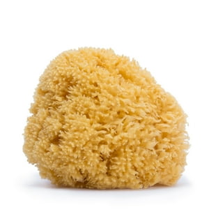 Suavinex - Esponja Natural Grande