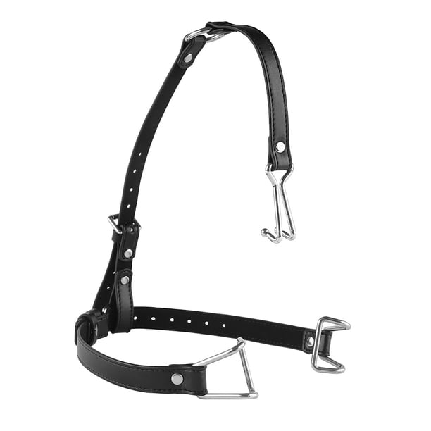 1 set, BDSM Nose Hook and Cheek Retractor - Enhance Your Master/Slave Game with Facial Restraint Kit - Novelty Sex Toys for Couples